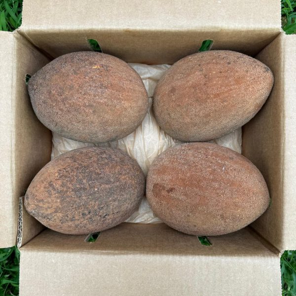 Mamey Sapote *Pre-Order* - Image 4