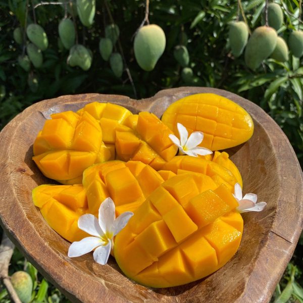Mango Mix Box *Pre-Order* - Image 2