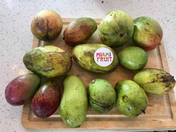 Mango Mix Box *Pre-Order* - Image 4