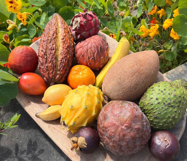 Miami Fruit - Best Tropical Fruit Boxes in the USA