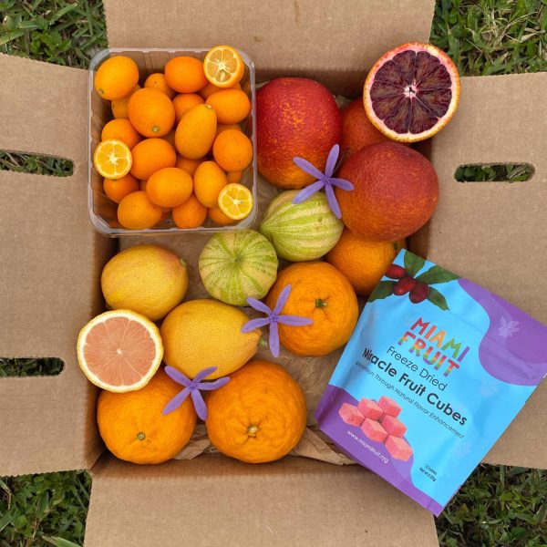 Miracle Citrus Box *Pre-Order*