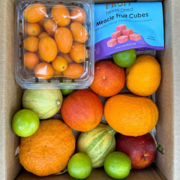 Miracle Citrus Box *Pre-Order* - Image 3