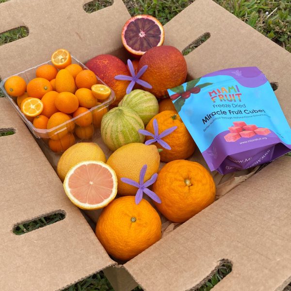 Miracle Citrus Box *Pre-Order* - Image 4