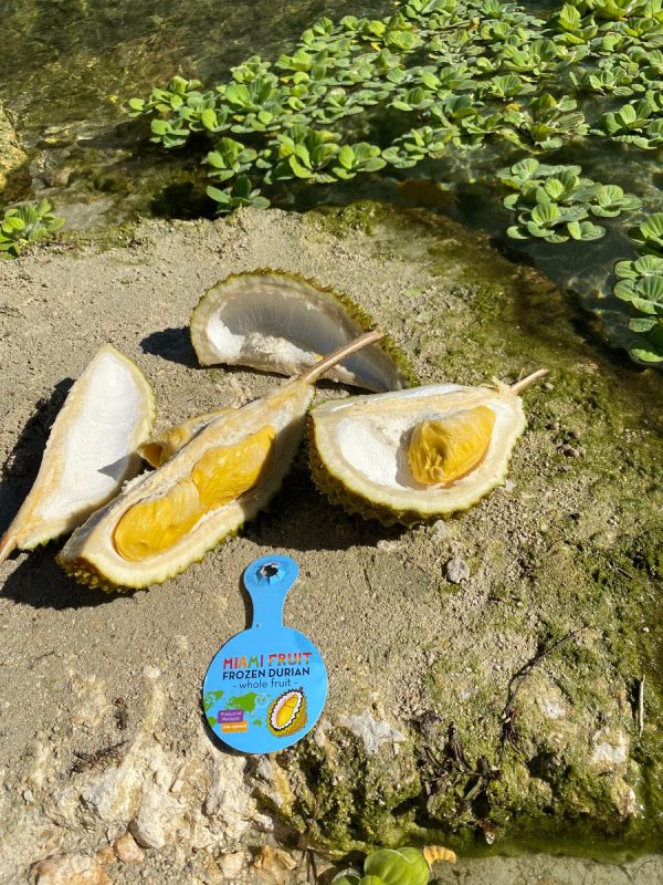 Musang King Durian *Pre-Order* - Image 4
