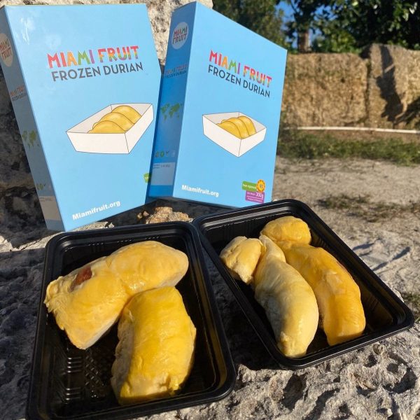Musang King Durian Trays - Image 3