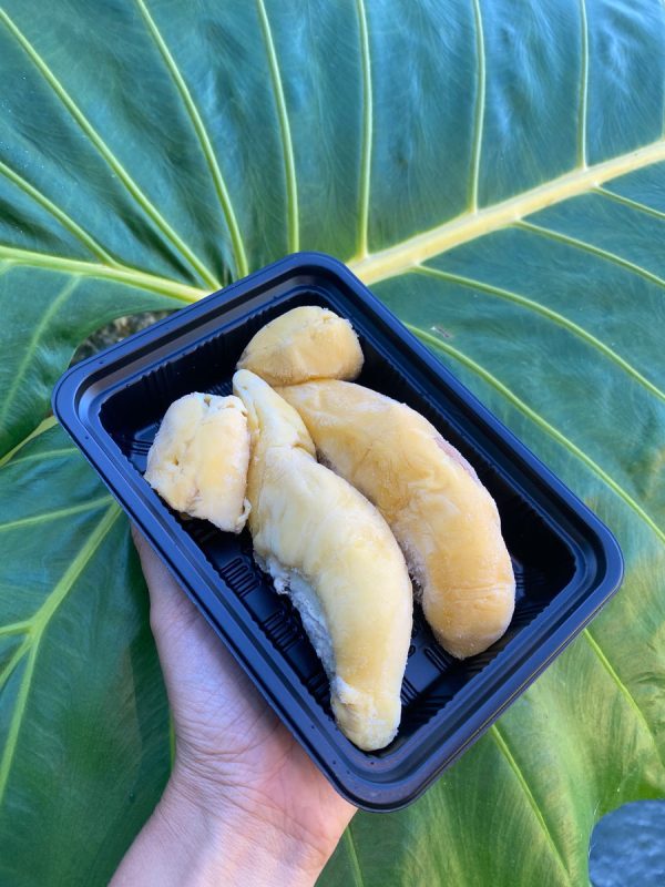 Musang King Durian Trays - Image 4