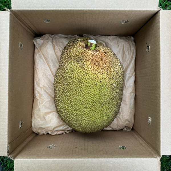 Mushy Jackfruit *Pre-Order* - Image 3