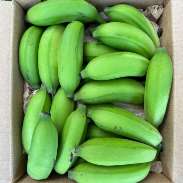 Mysore Banana - Image 3