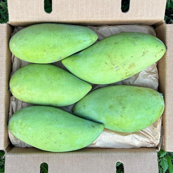 Nam Doc Mai Mango *Pre-Order* - Image 3