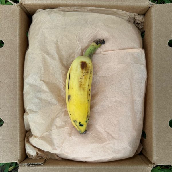 Nam Wah Banana - Image 3