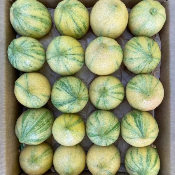 Pink Lemon - Image 4