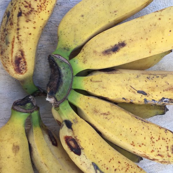 Pisang Raja Banana - Image 4