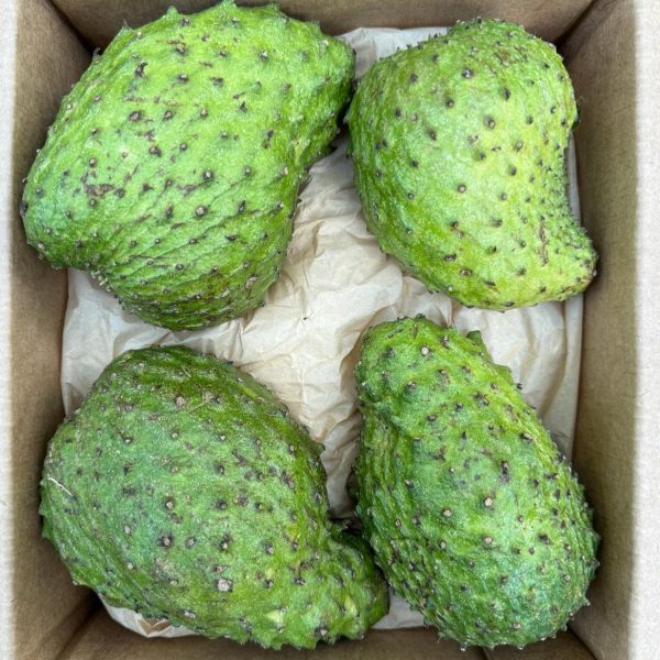 Premium Soursop (Guanabana) *LIMITED* - Image 4