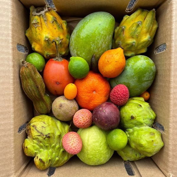 Premium Variety Box - Image 3