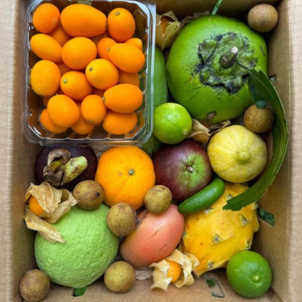 Premium Variety Box