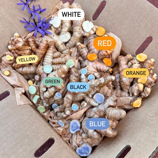 Rainbow Turmeric Box - Image 3
