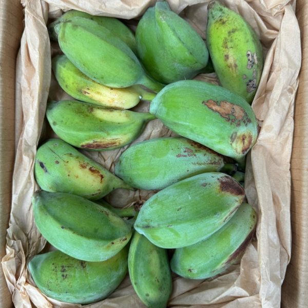 Seeded Banana - Image 3