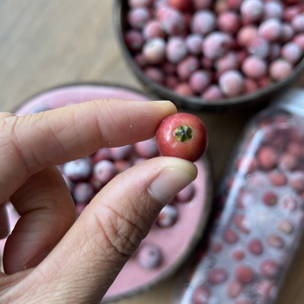 Strawberry Tree Berry *Frozen* *Pre-Order* - Image 2