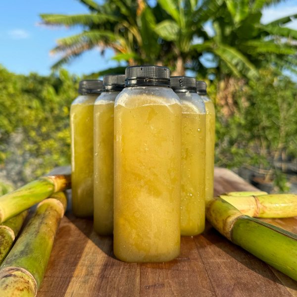 Sugarcane Juice *Frozen* - Image 2