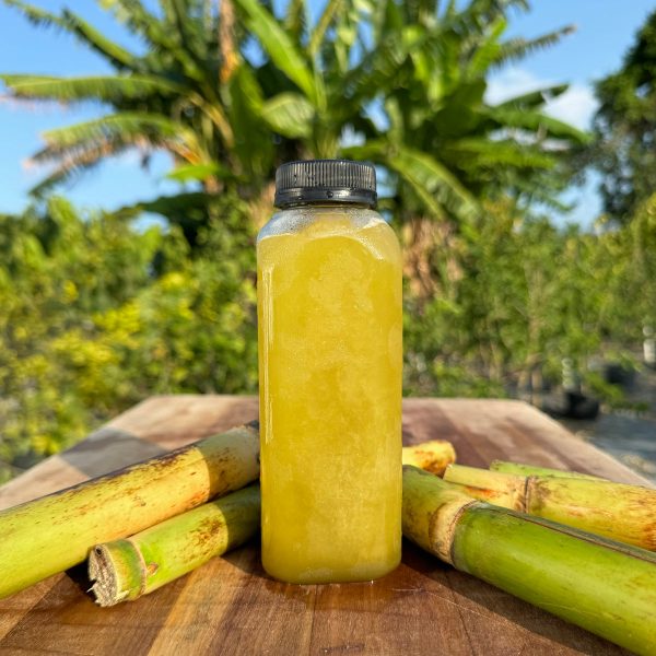 Sugarcane Juice *Frozen* - Image 4