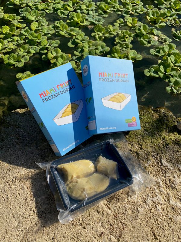 Sultan King (D24) Durian Trays *Pre-Order* - Image 4
