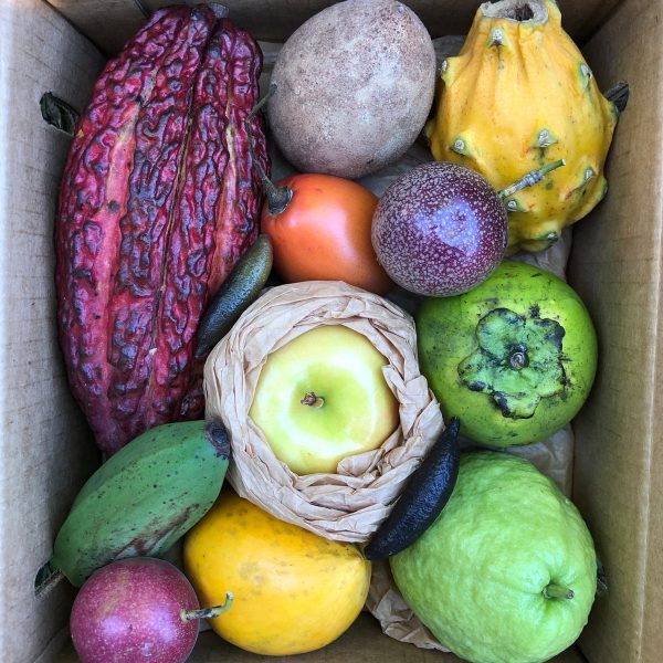Variety Box - Image 2