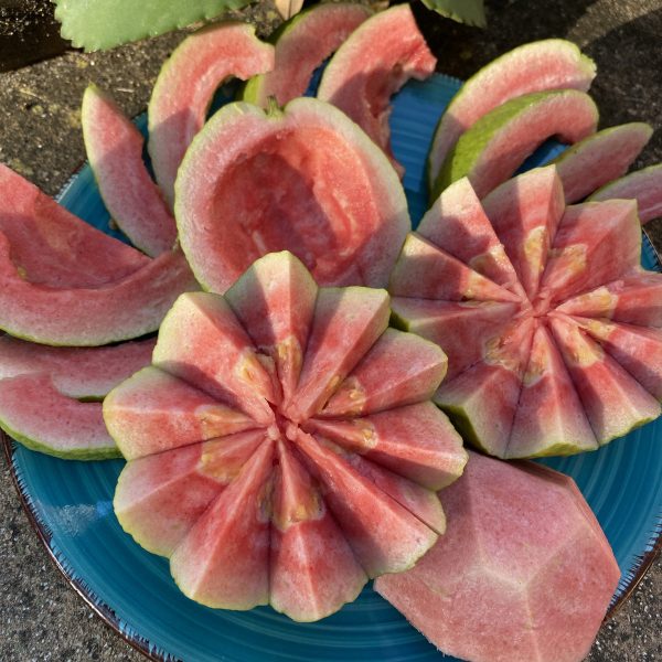 Watermelon Guava - Image 2