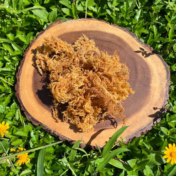 Wild Harvested Sea Moss