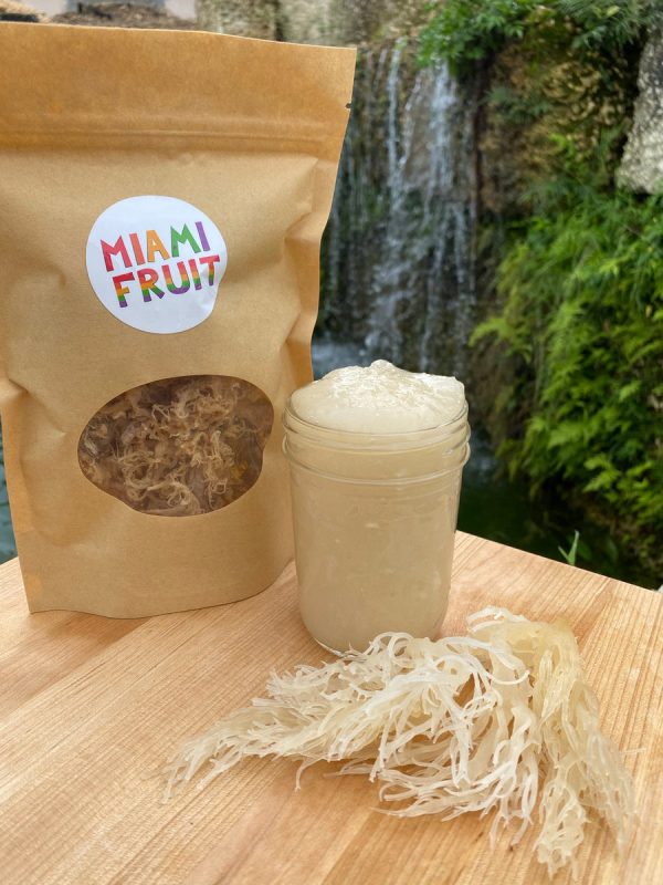 Wild Harvested Sea Moss - Image 4